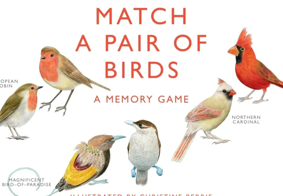 Chronicle Books A Memory Game: Match a Pair of Birds Best