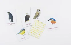 Chronicle Books A Memory Game: Match a Pair of Birds Best