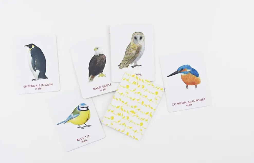 Chronicle Books A Memory Game: Match a Pair of Birds Best