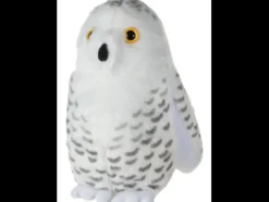 Audubon by WR Audubon Snowy Owl Best