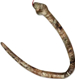 Aurora Snakes: Gopher Snake 50" Sale