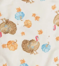 Burt's Bees Baby Burt's Bees Organic Baby Boy Turkey Time Shirt and Pant Set Clearance