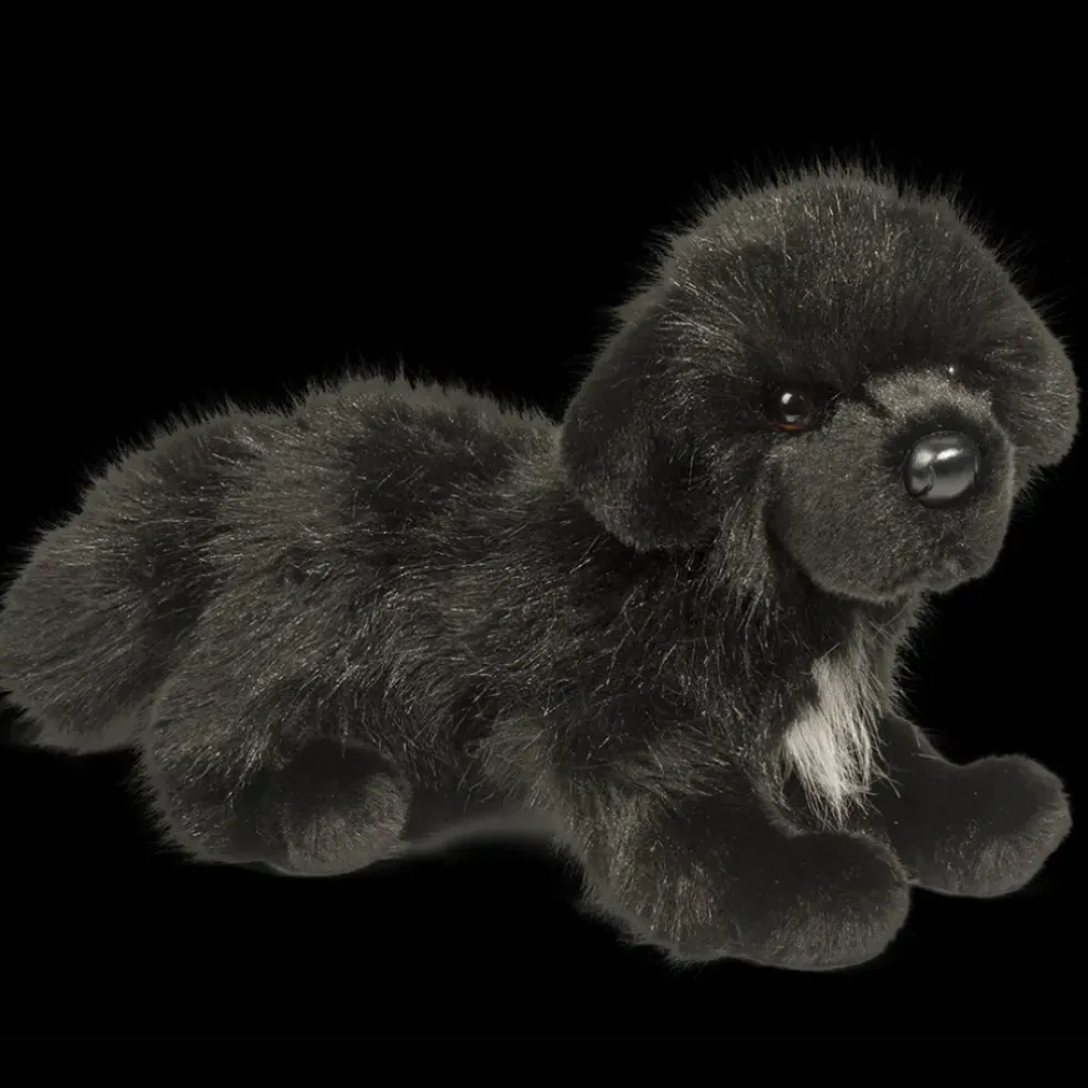 Douglas Bundy Newfoundland 16" Best