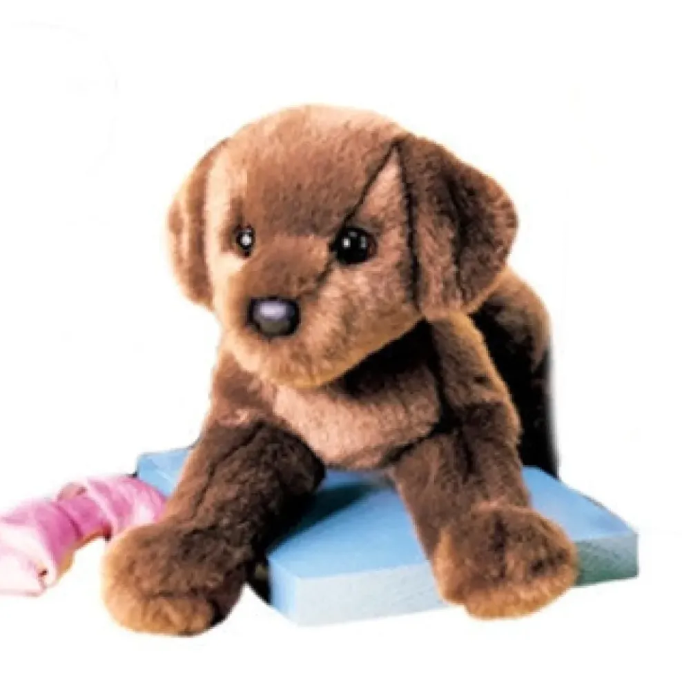 Douglas C.C. Bean Chocolate Lab 12" Sale