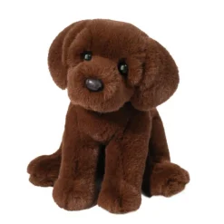 Douglas Zoom Chocolate Lab Best