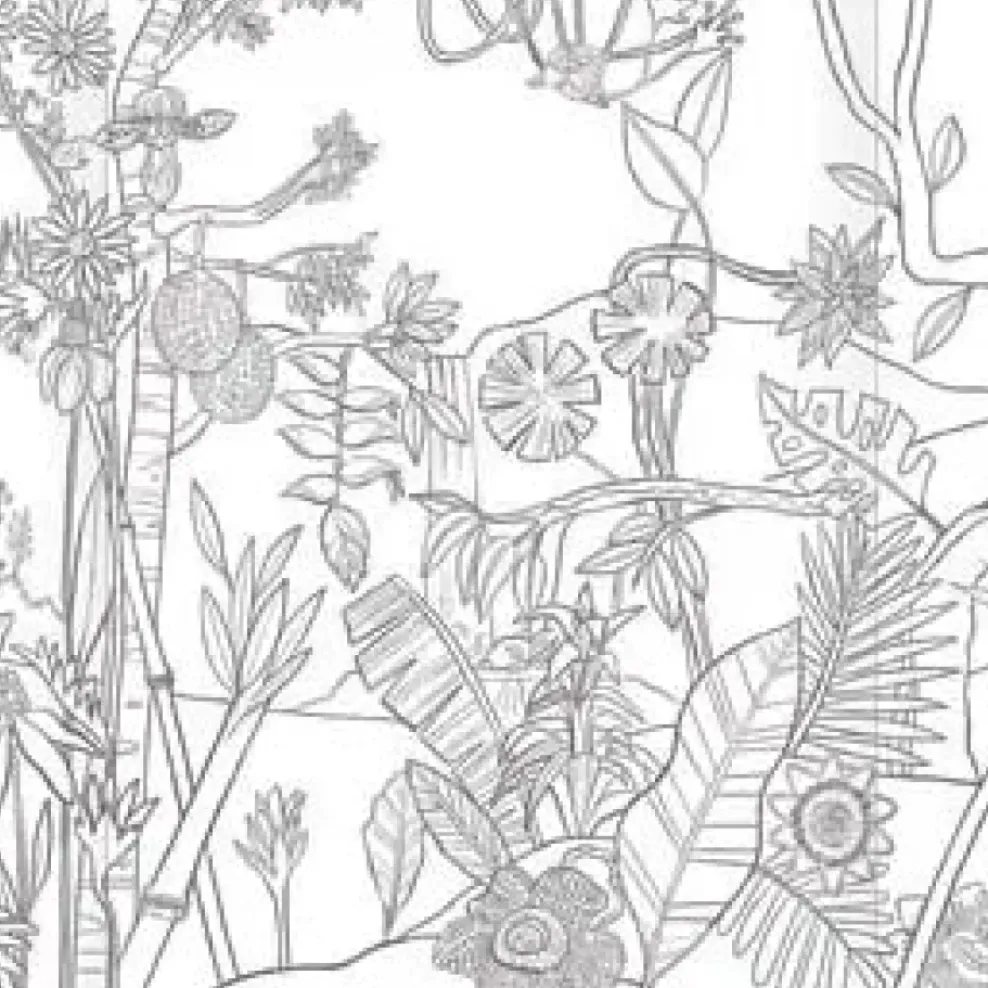 eeBoo Bugs, Birds & Butterflies Fold Out Coloring Book Online