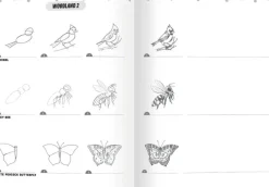 eeBoo Learn to Draw Bugs, Birds & Butterflies Discount
