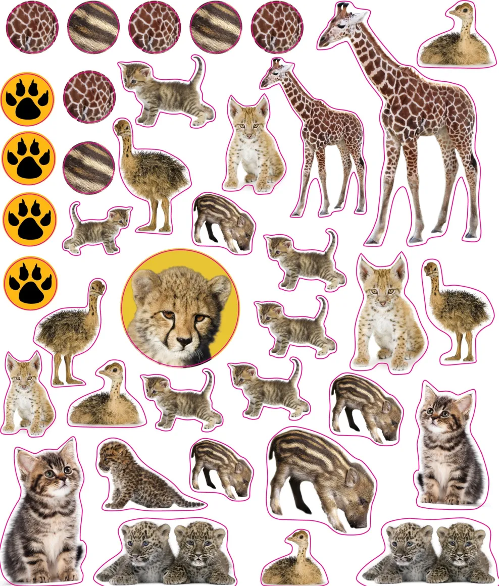 Hachette EyeLike Stickers: Baby Animals Discount