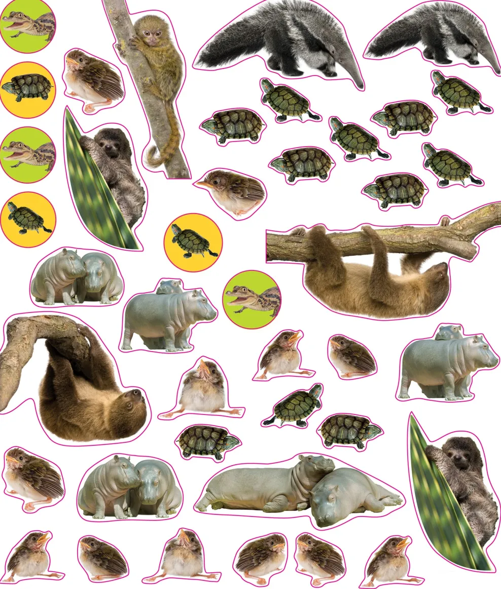Hachette EyeLike Stickers: Baby Animals Discount