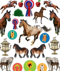 Hachette EyeLike Stickers: Horses Best