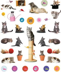 Hachette EyeLike Stickers: Kittens Online