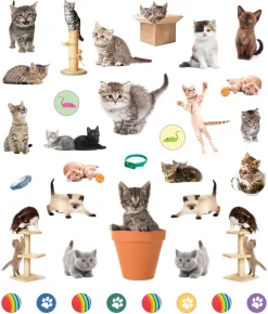 Hachette EyeLike Stickers: Kittens Online