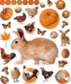 Hachette EyeLike Stickers: On the Farm Online