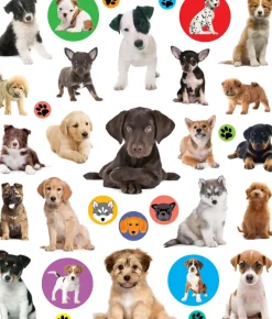 Hachette EyeLike Stickers: Puppies Fashion