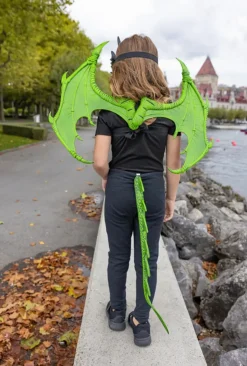 Creative Education of Canada Inc Great Pretenders Dragon Wings Green Best