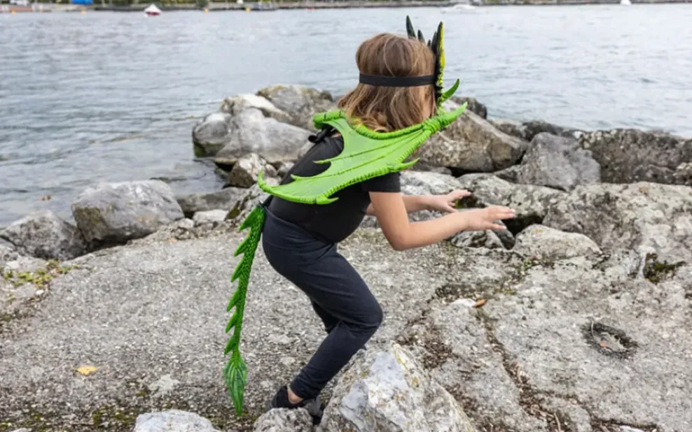 Creative Education of Canada Inc Great Pretenders Dragon Wings Green Best