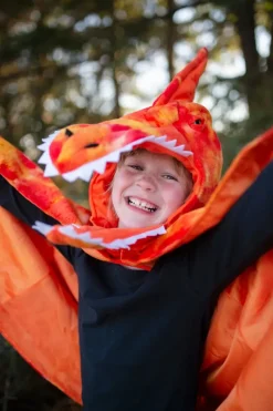 Creative Education of Canada Inc Great Pretenders Grandasaurus Pterodactyl Cape Outlet