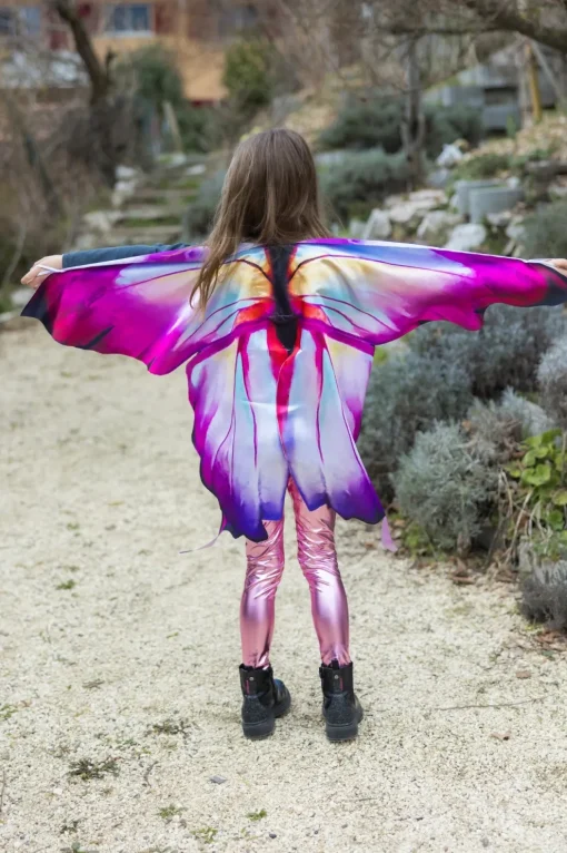 Creative Education of Canada Inc Great Pretenders Ombre Butterfly Soft Wings Size 4/6 Online