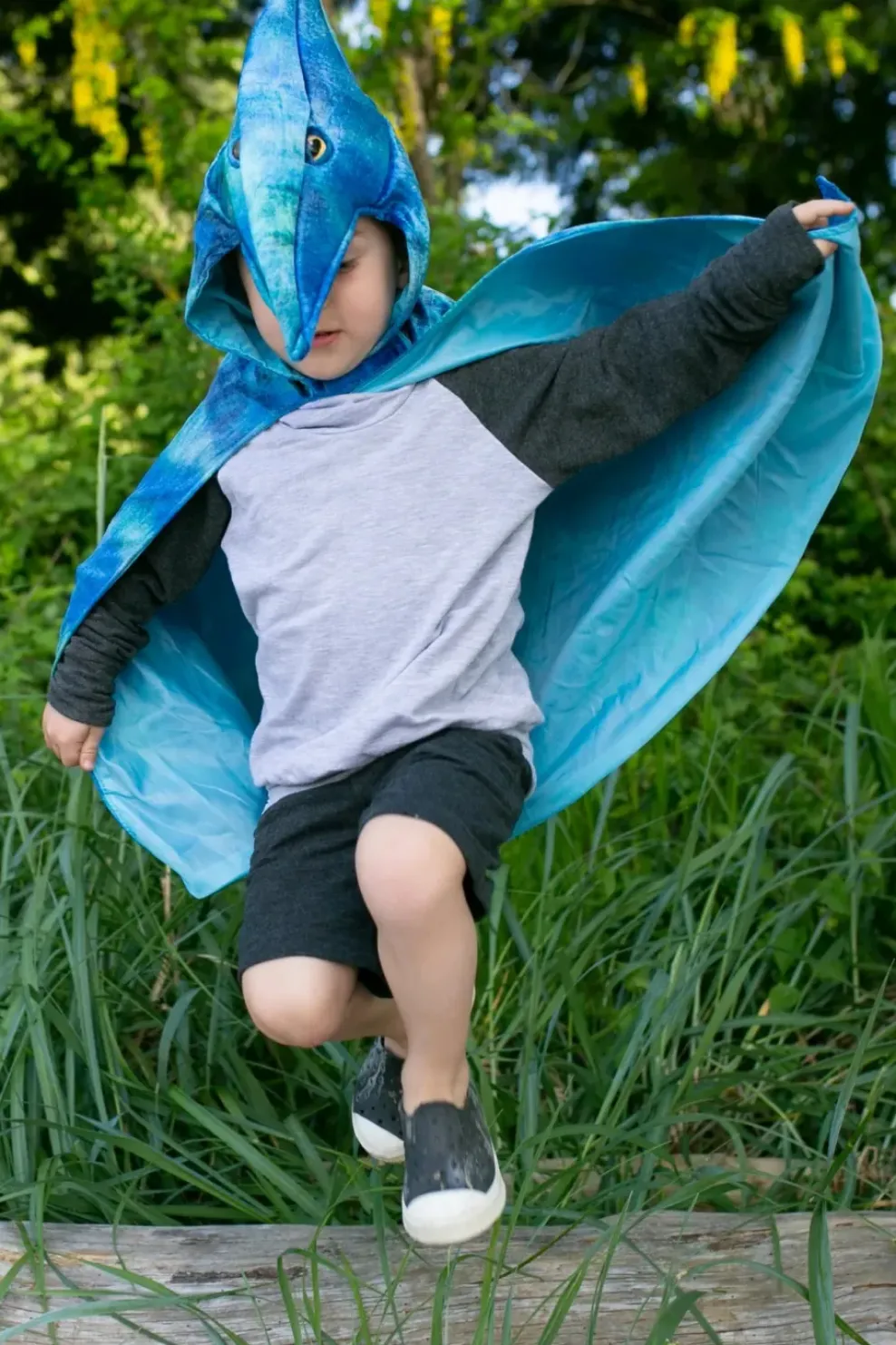 Creative Education of Canada Inc Great Pretenders Pterodactyl Hooded Dinosaur Cape Size 4/5 Best