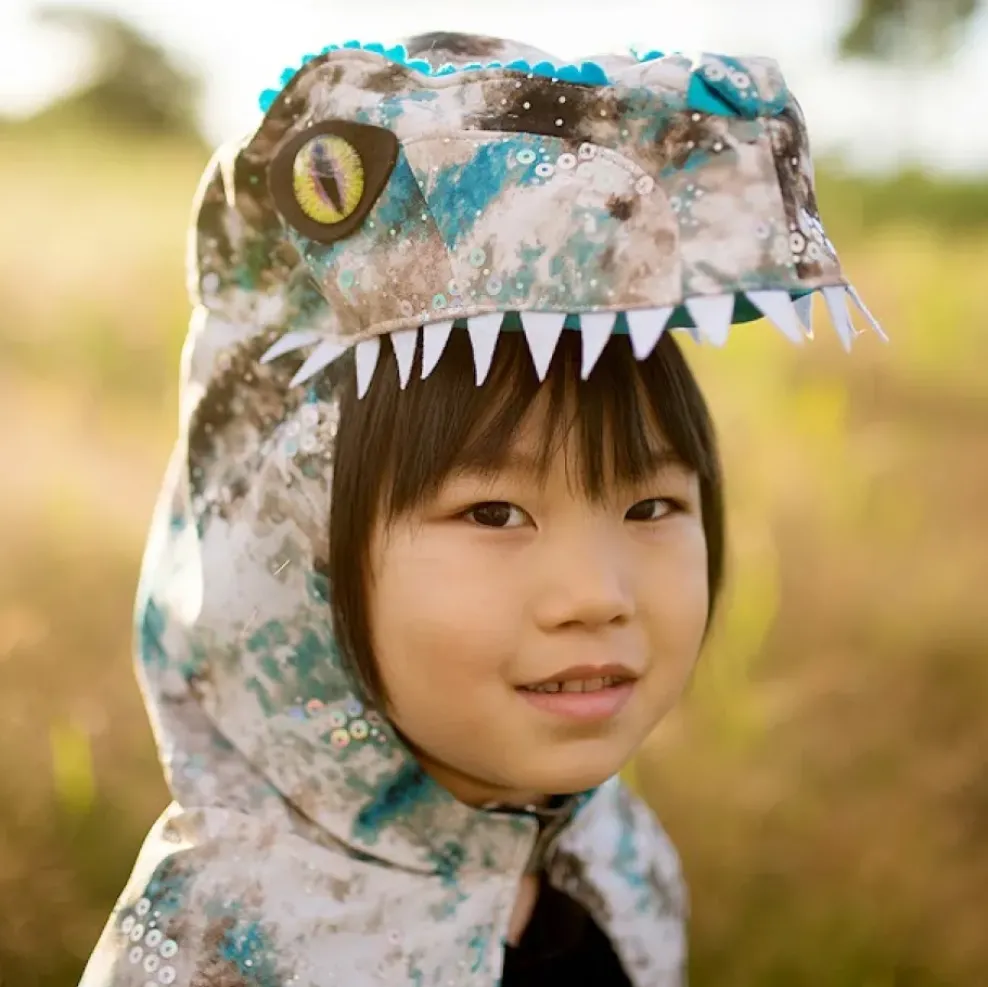 Creative Education of Canada Inc Great Pretenders Raptor Cape Teal/Brown Size 5/6 Outlet