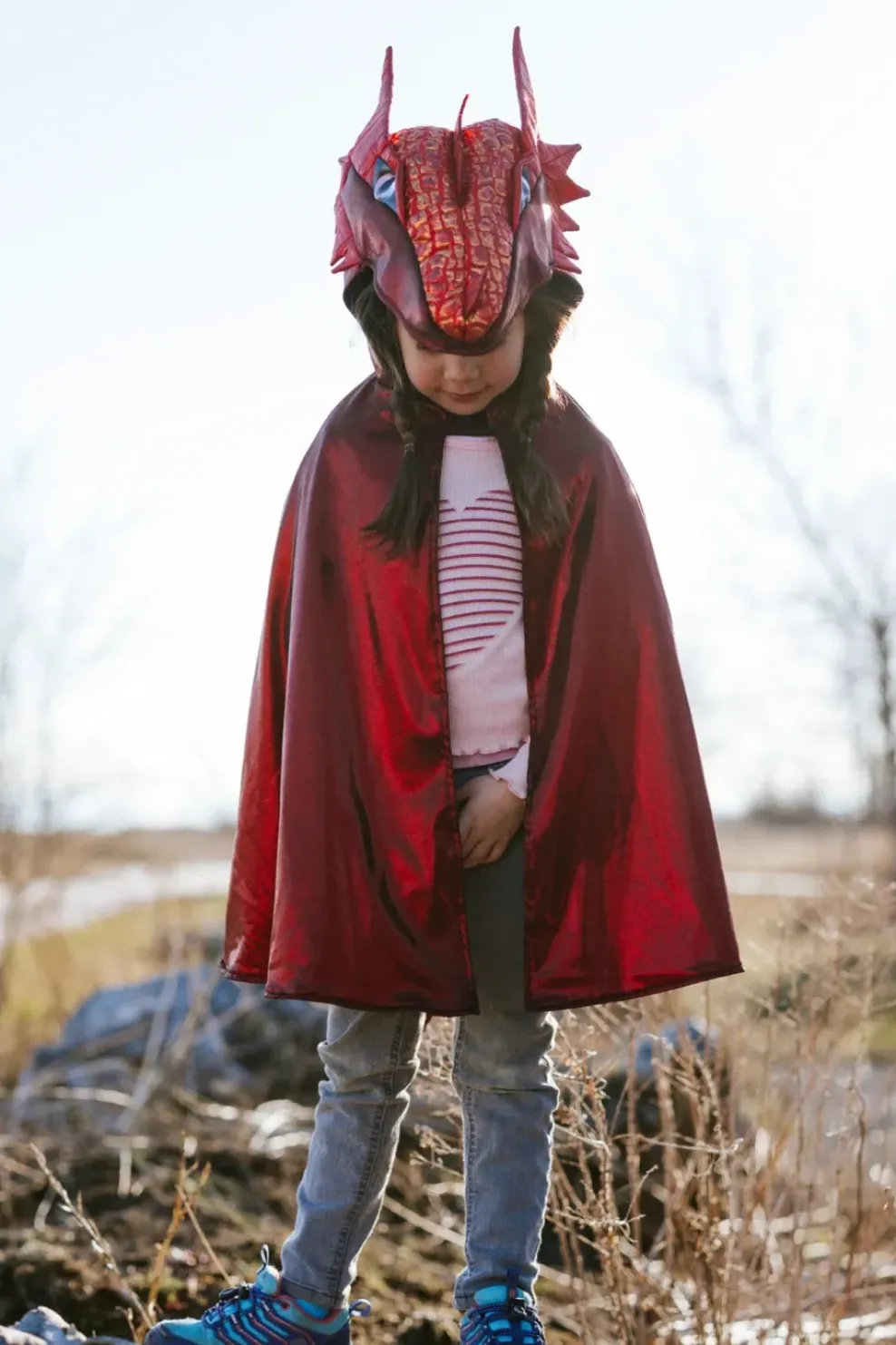 Creative Education of Canada Inc Great Pretenders Ruby Metallic Dragon Best