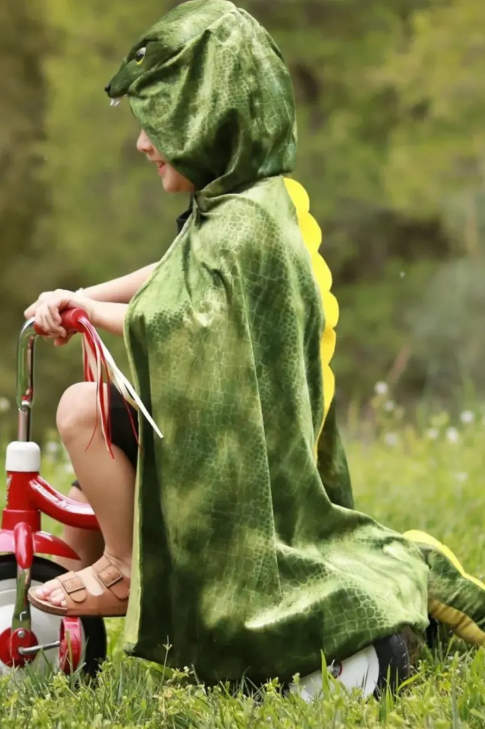 Creative Education of Canada Inc Great Pretenders T-Rex Hooded Cape Size 4/6 New