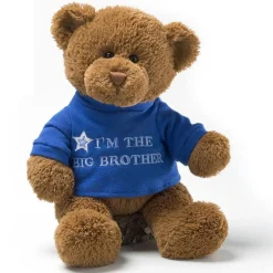 Gund Big Brother Bear 12" Best