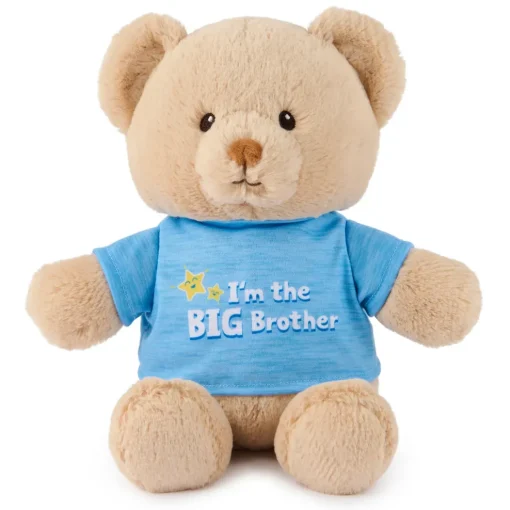 Gund "I'm the Big Brother Bear" Blue 12" Fashion