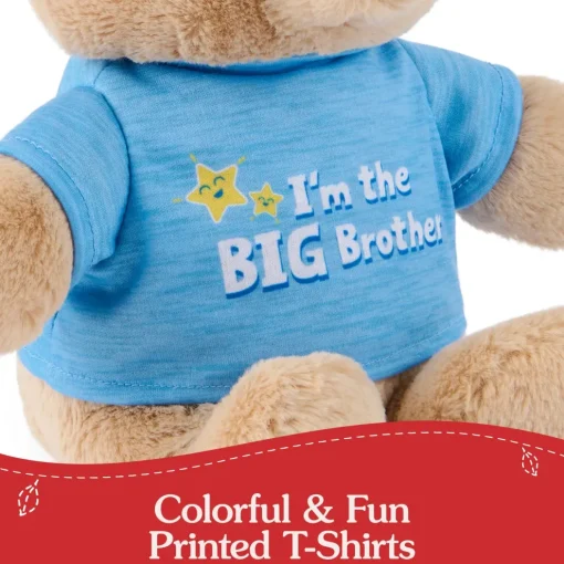 Gund "I'm the Big Brother Bear" Blue 12" Fashion