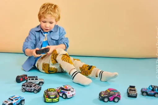 HST Rapid Rally Remote Control Cars Assorted Discount