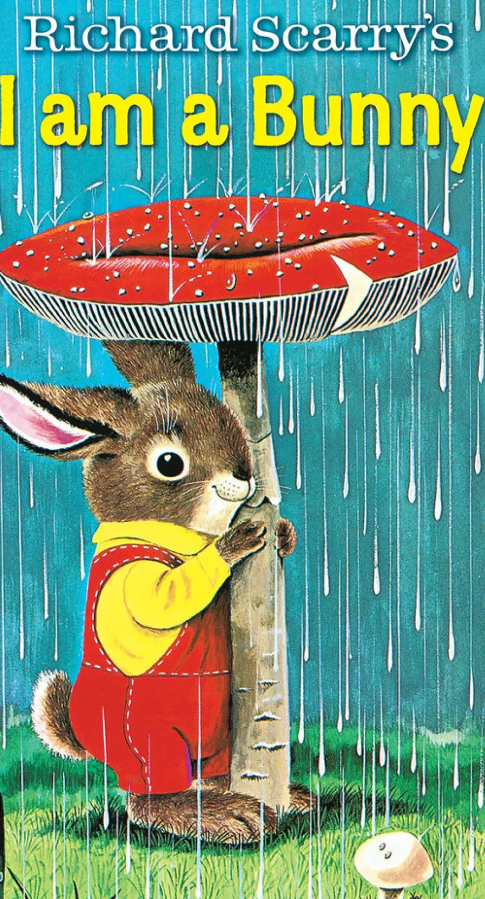 Penguin Random House LLC I Am a Bunny Board Book Fashion