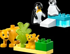 LEGO ® DUPLO® Wild Animal Families: Penguins & Lions 10442 Fashion