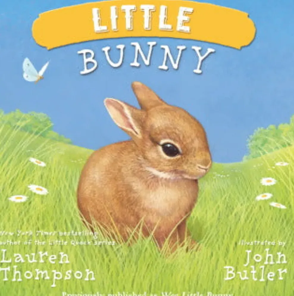 Simon & Shuster Little Bunny Clearance
