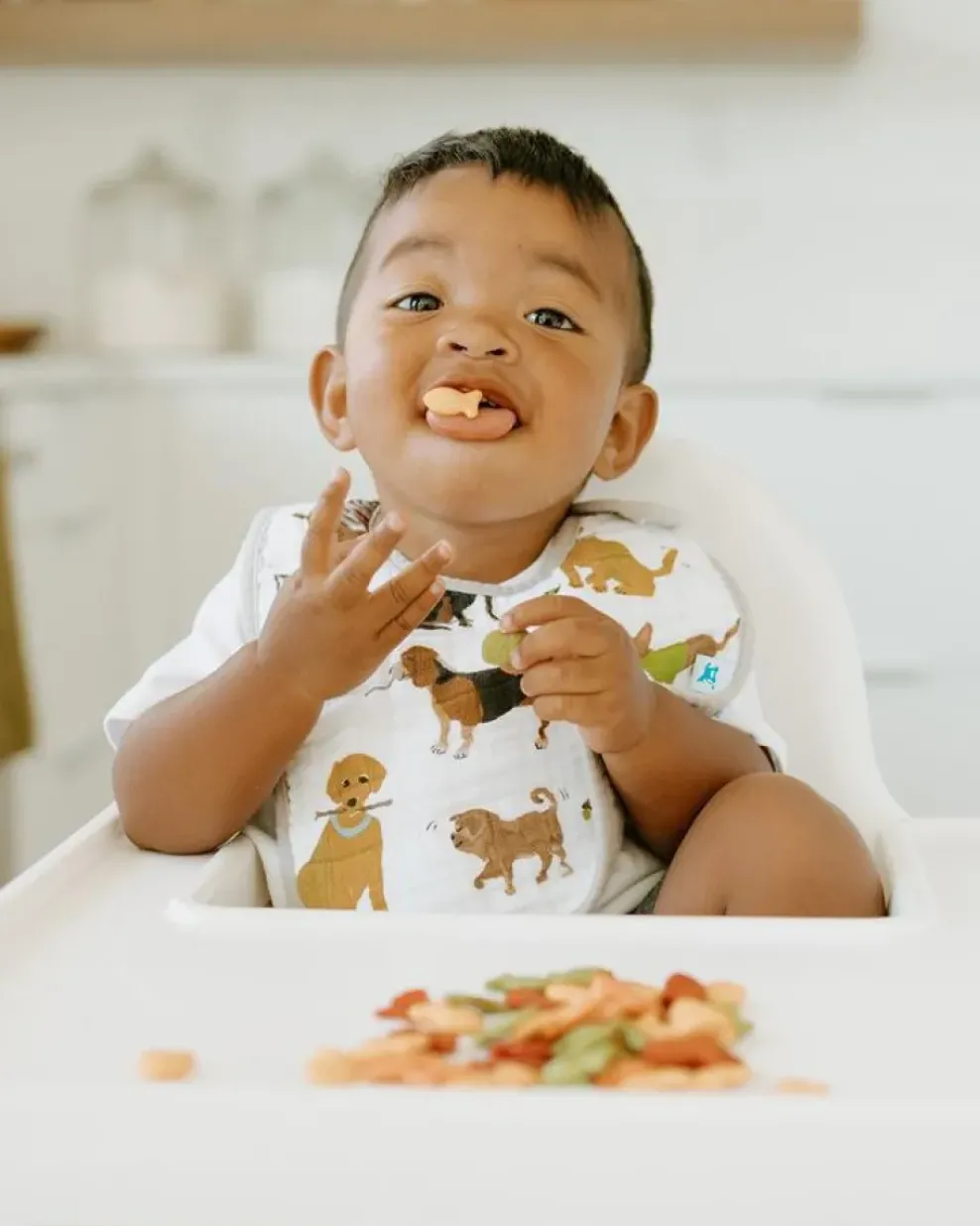 Little Unicorn Cotton Muslin Classic Bib Woof Clearance