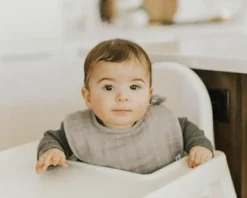 Little Unicorn Cotton Muslin Classic Bib Fern Online