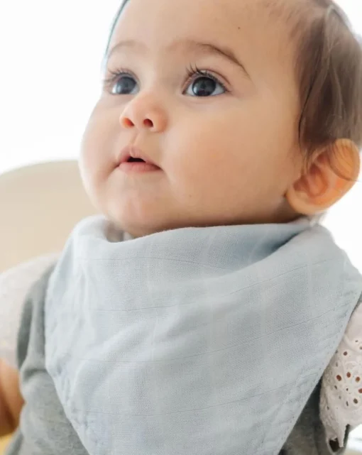 Little Unicorn Deluxe Muslin Reversible Bandana Bib Air Show Online
