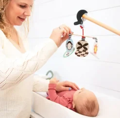 Manhattan Toy ® Wimmer Stim To Go Hot