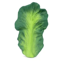 Hotaling Imports Oli & Carol Kendall the Kale Teether Online