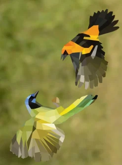 Hachette Paint By Sticker: Birds Best