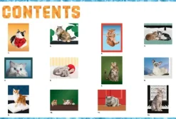 Hachette Paint By Sticker: Cats Outlet