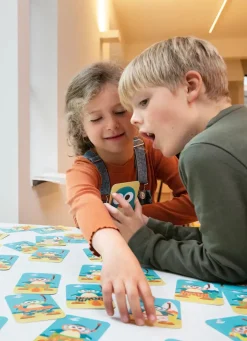 DAM Penguin Match Game Discount