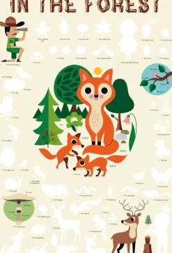 DAM Poppik Discovery Posters - Forest Clearance