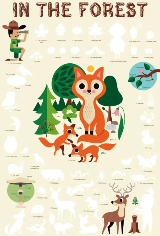 DAM Poppik Discovery Posters - Forest Clearance