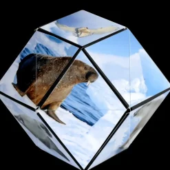 Fun in Motion Toys Shashibo Animal Series: Arctic Online