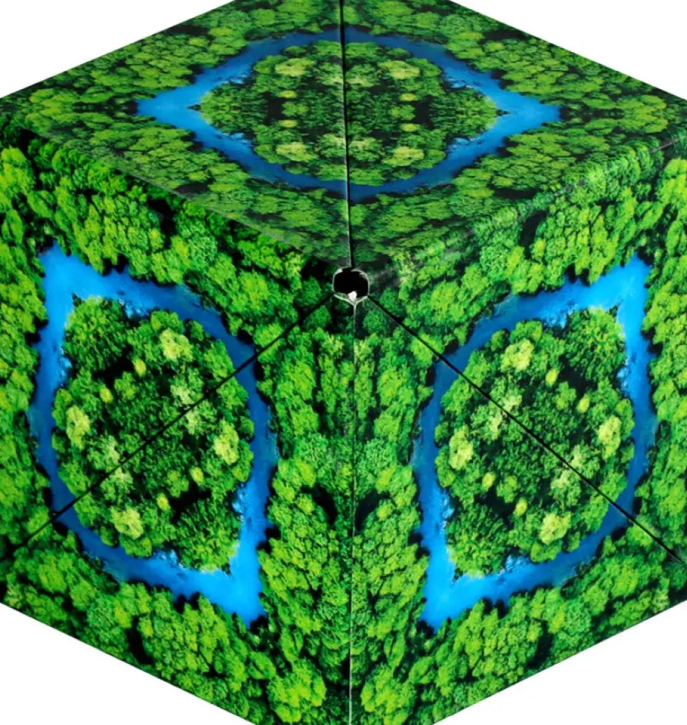 Fun in Motion Toys Shashibo Animal Series: Jungle Hot