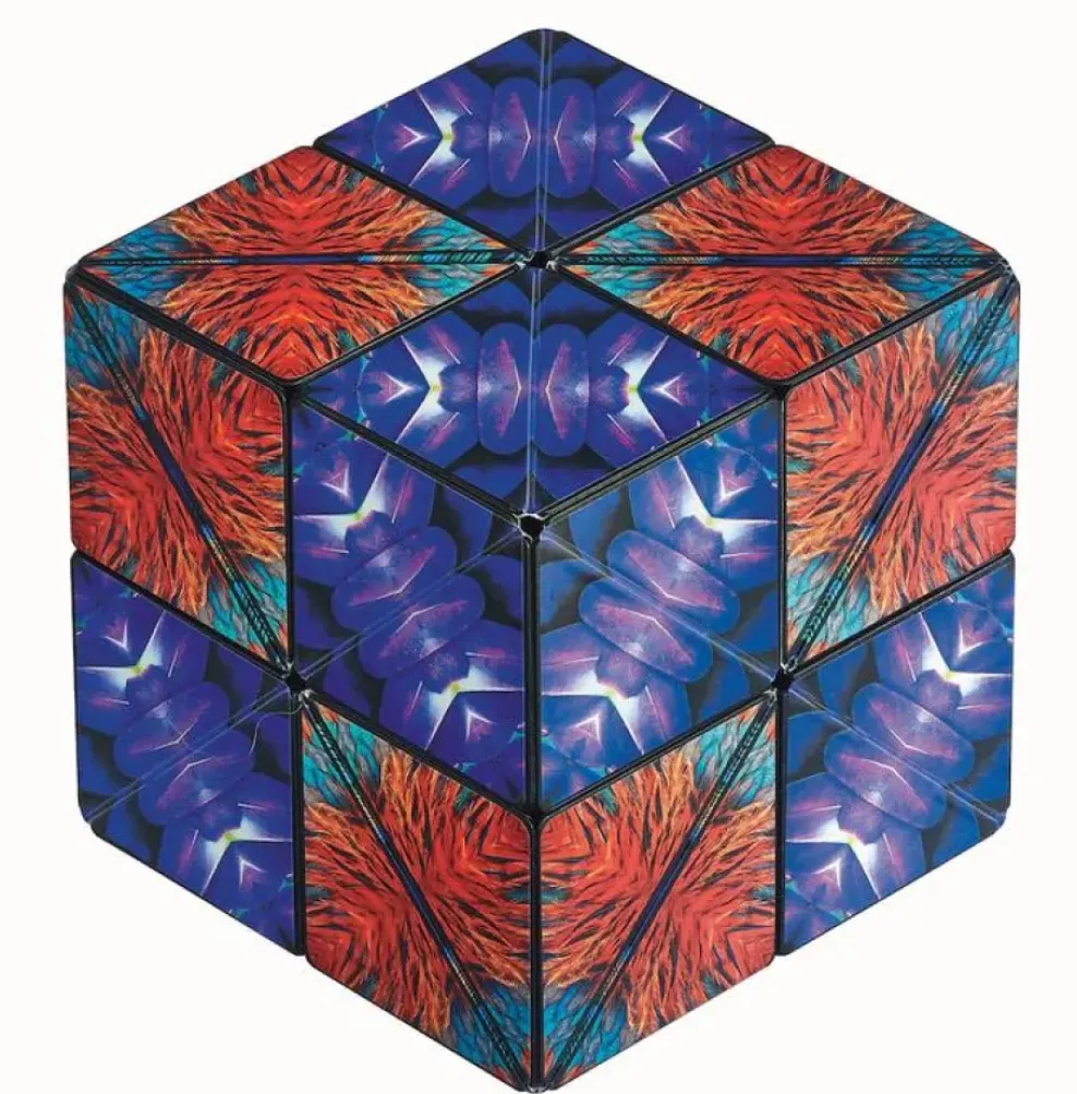 Fun in Motion Toys Shashibo Wings Discount