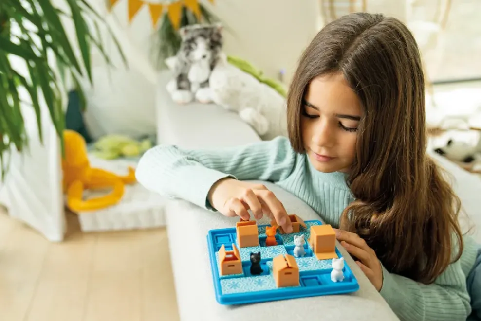 Smart Toys & Games, LLC Smart Games & Toys Cats & Boxes Clearance