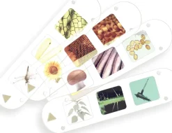 Thames Kosmos Thames & Kosmos Kids First Big & Fun Microscope Online