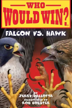 Scholastic Who Would Win?: Falcon vs. Hawk Hot